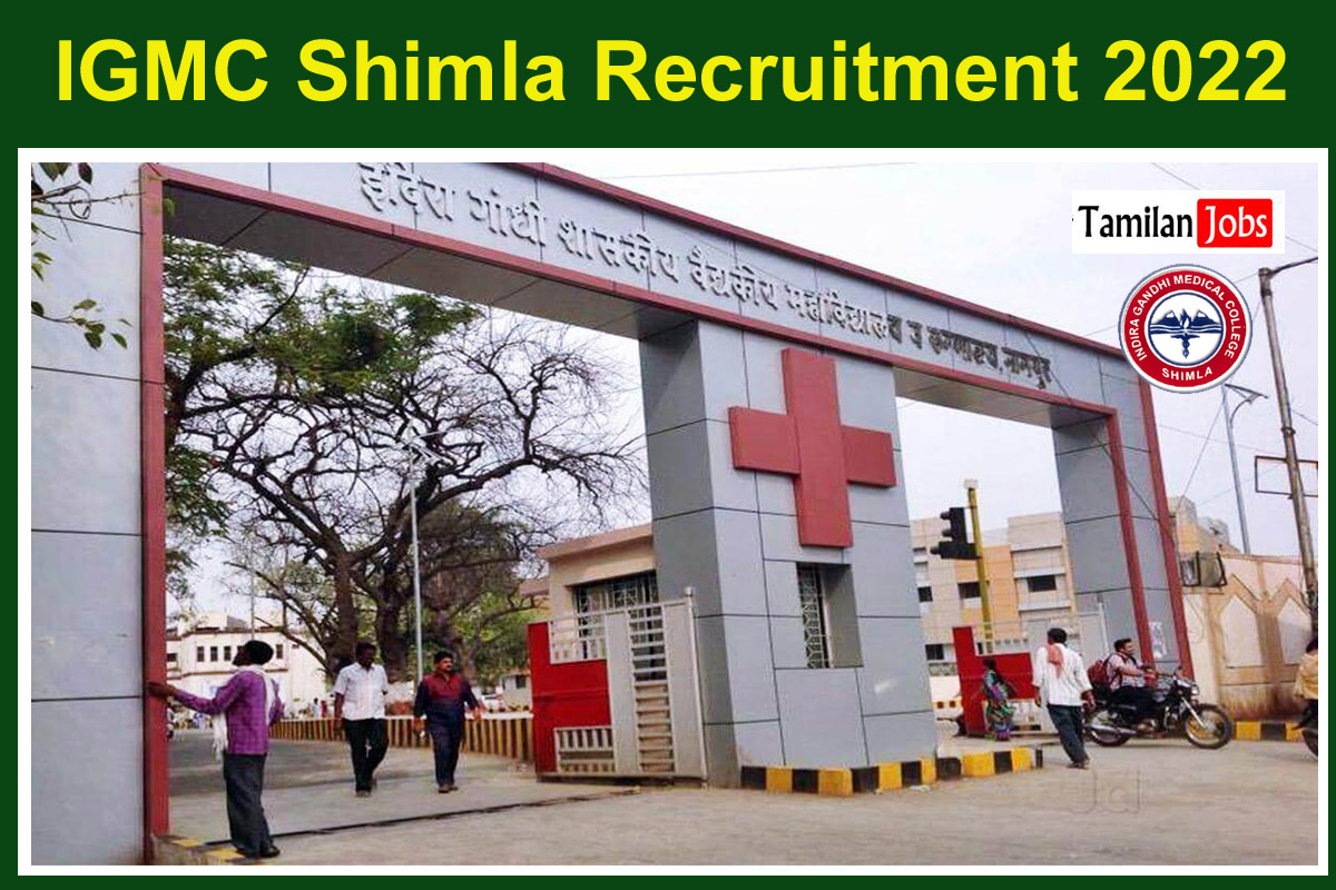 Igmc Shimla Recruitment 2022