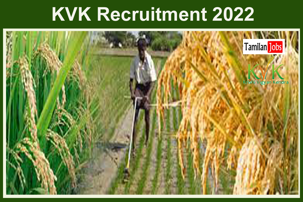 KVK Recruitment 2022