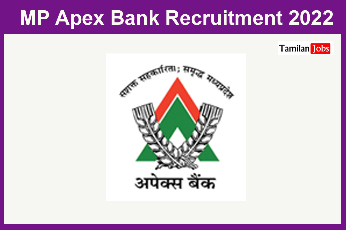 MP Apex Bank Recruitment 2022