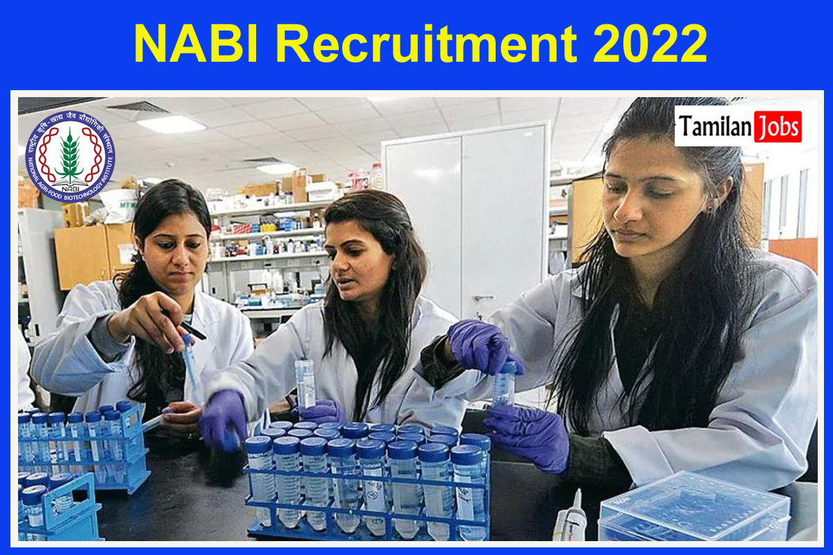 NABI Recruitment 2022