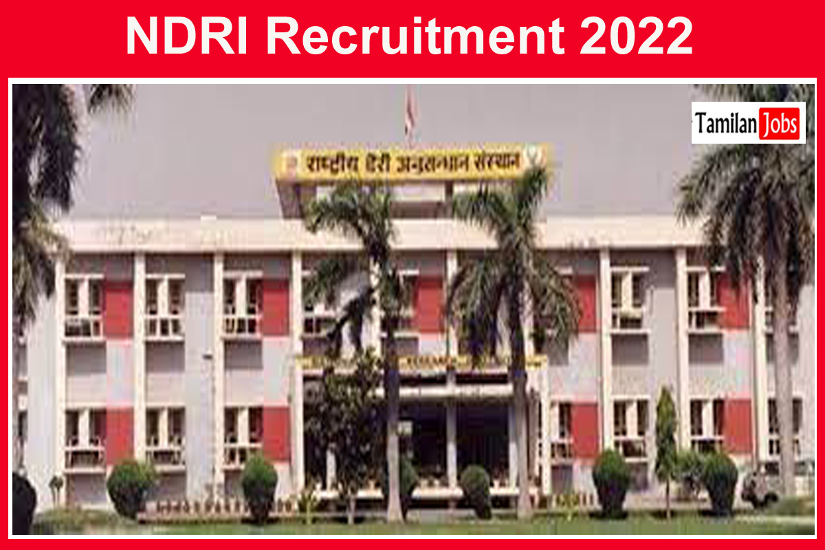 NDRI Recruitment 2022