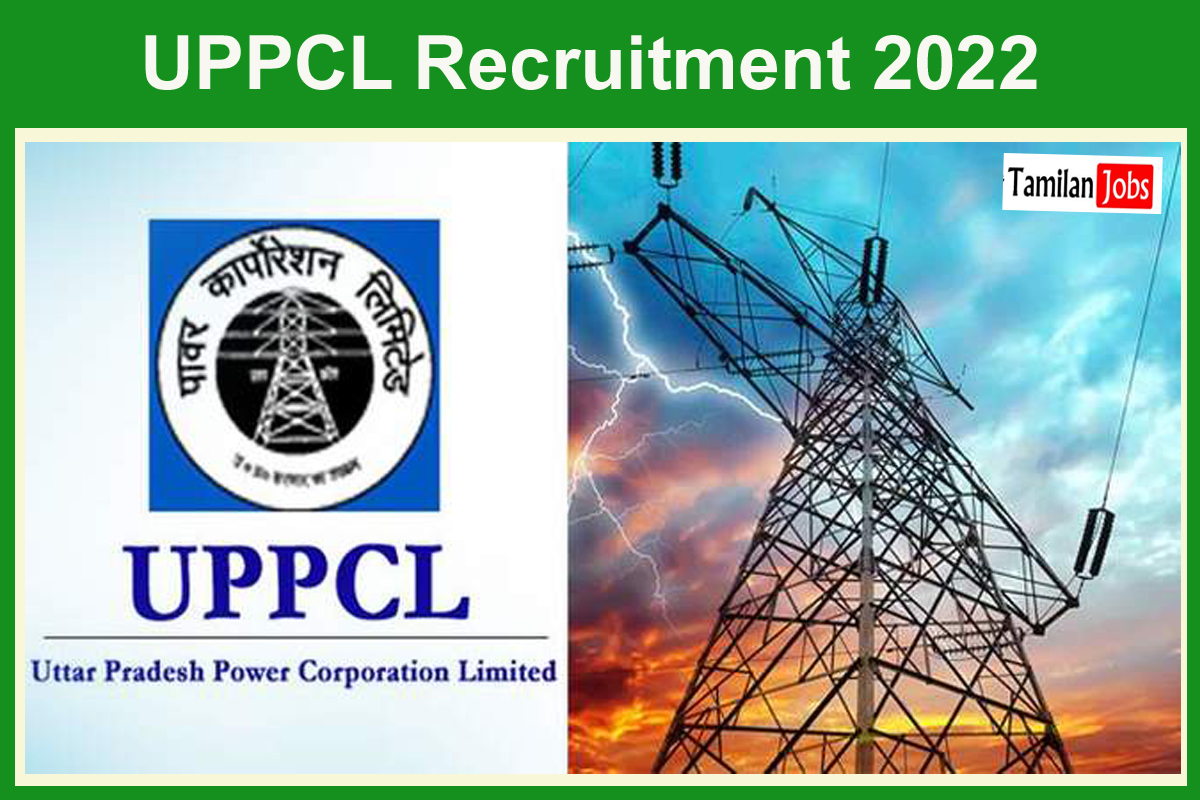UPPCL Recruitment 2022 - Tamilan Jobs UPPCL Recruitment 2022