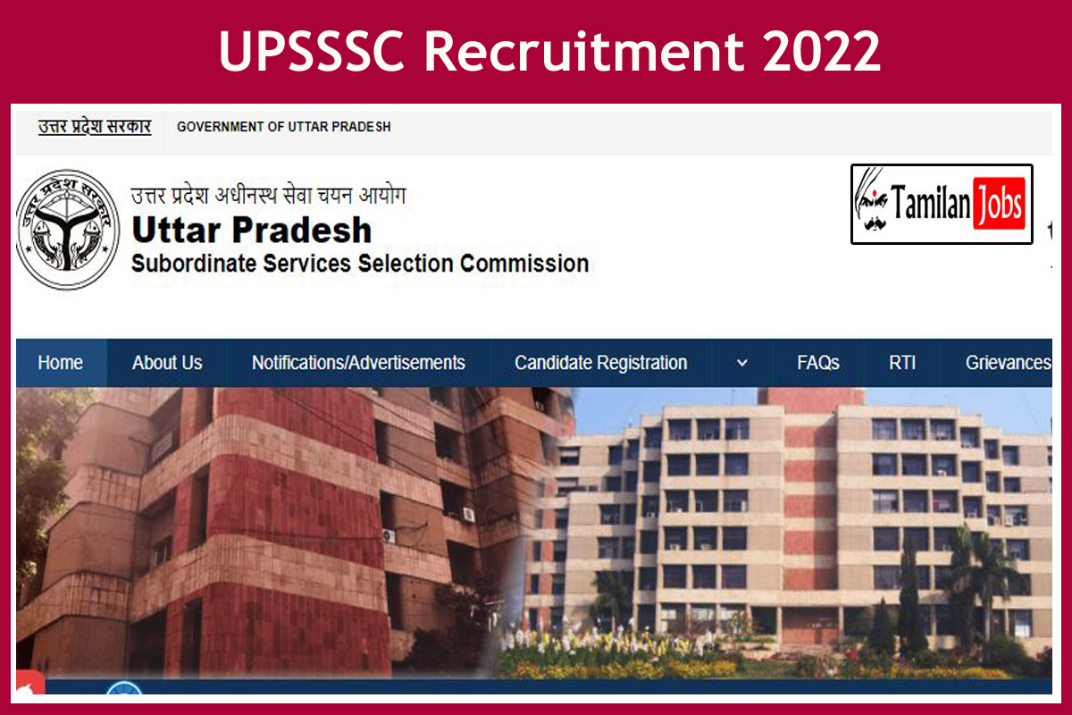 UPSSSC Recruitment 2022