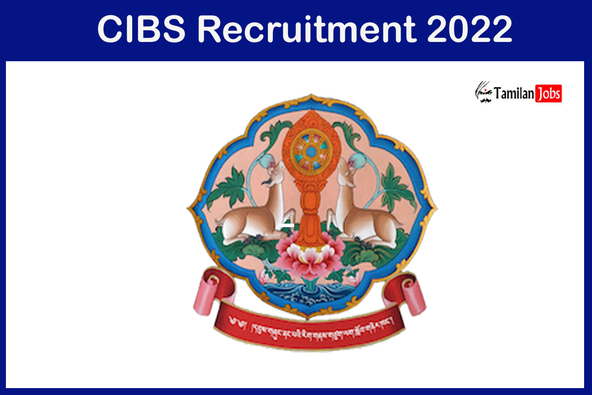 CIBS Recruitment 2022