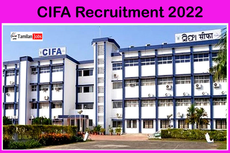 CIFA Recruitment 2022