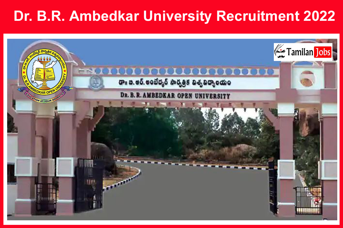 Dr. B.r. Ambedkar University Recruitment 2022