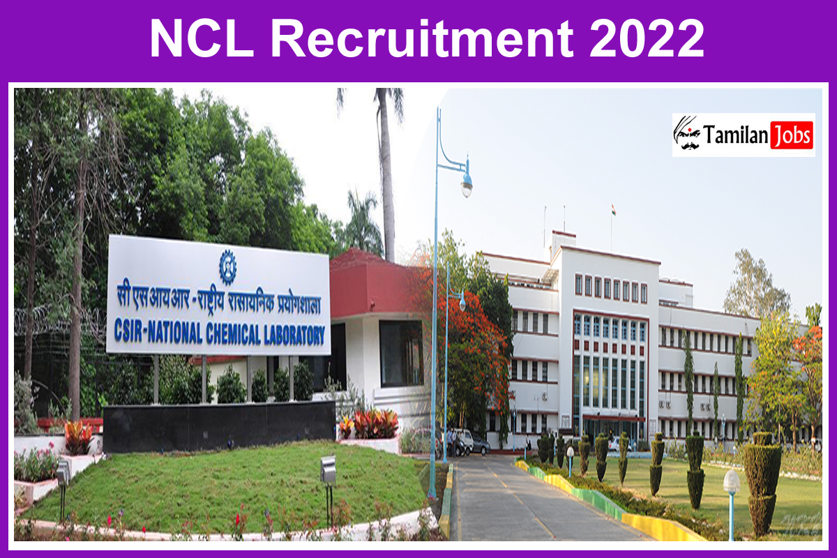 Ncl Recruitment 2022