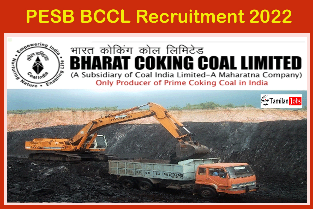 PESB BCCL Recruitment 2022