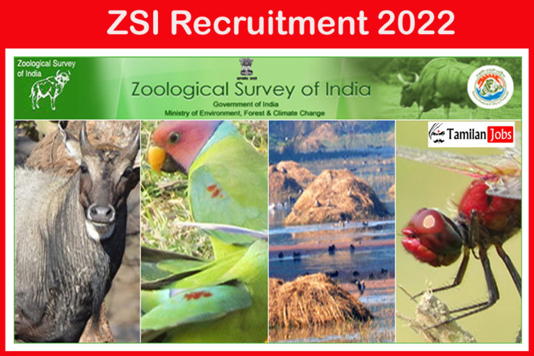ZSI Recruitment 2022