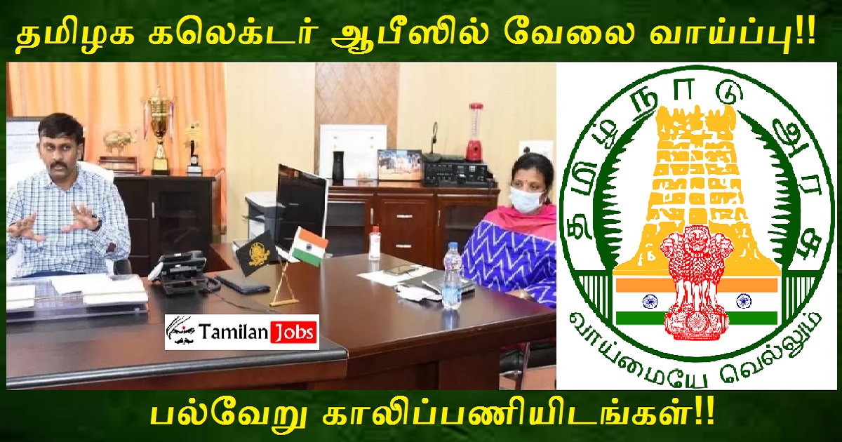 DC Office Chennai Recruitment 2022