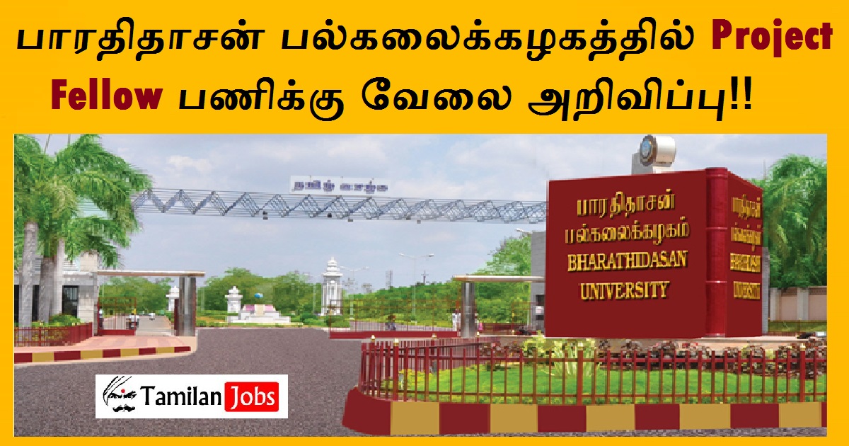Bharathidasan University - Tamilan Jobs Bharathidasan University