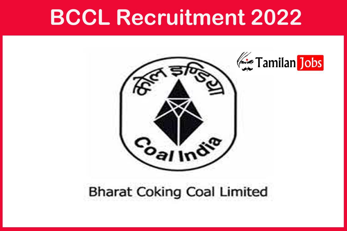 BCCL Recruitment 2022