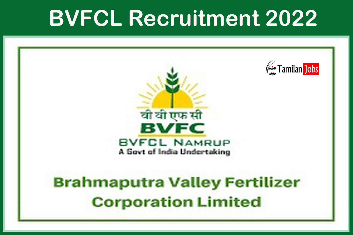 Bvfcl Recruitment 2022