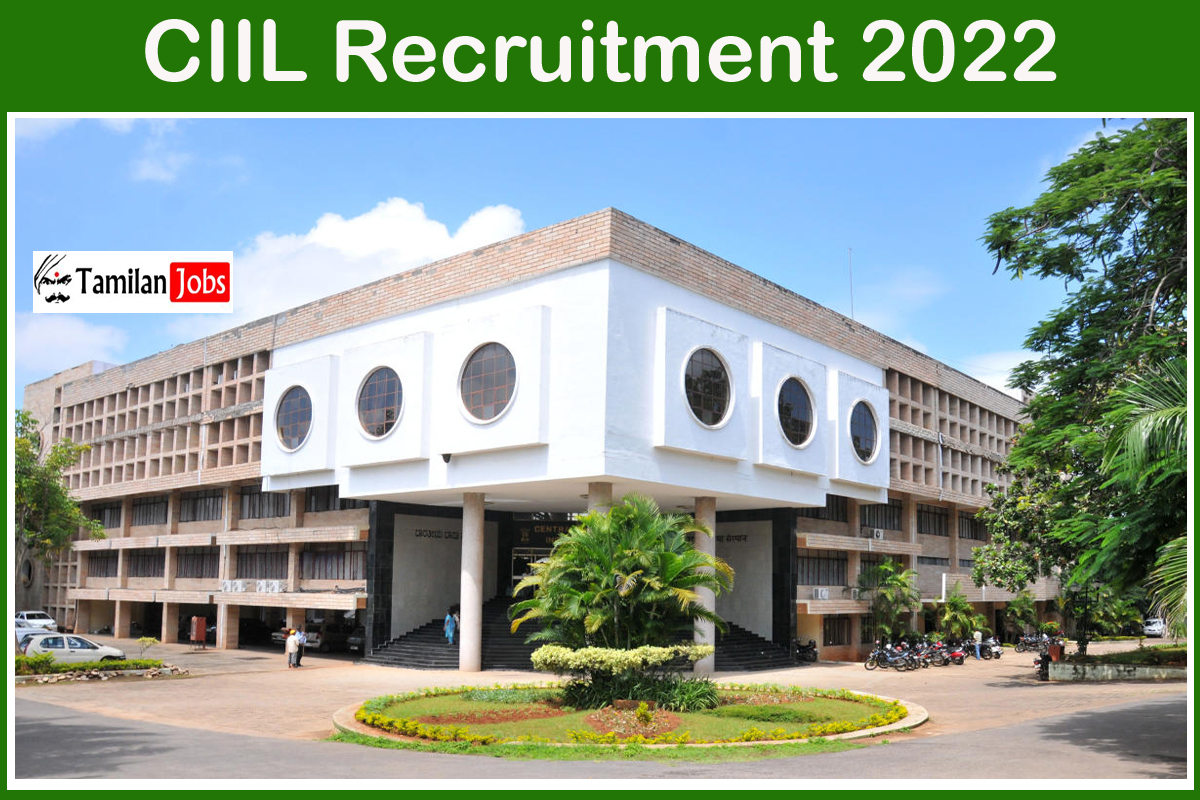 CIIL Recruitment 2022