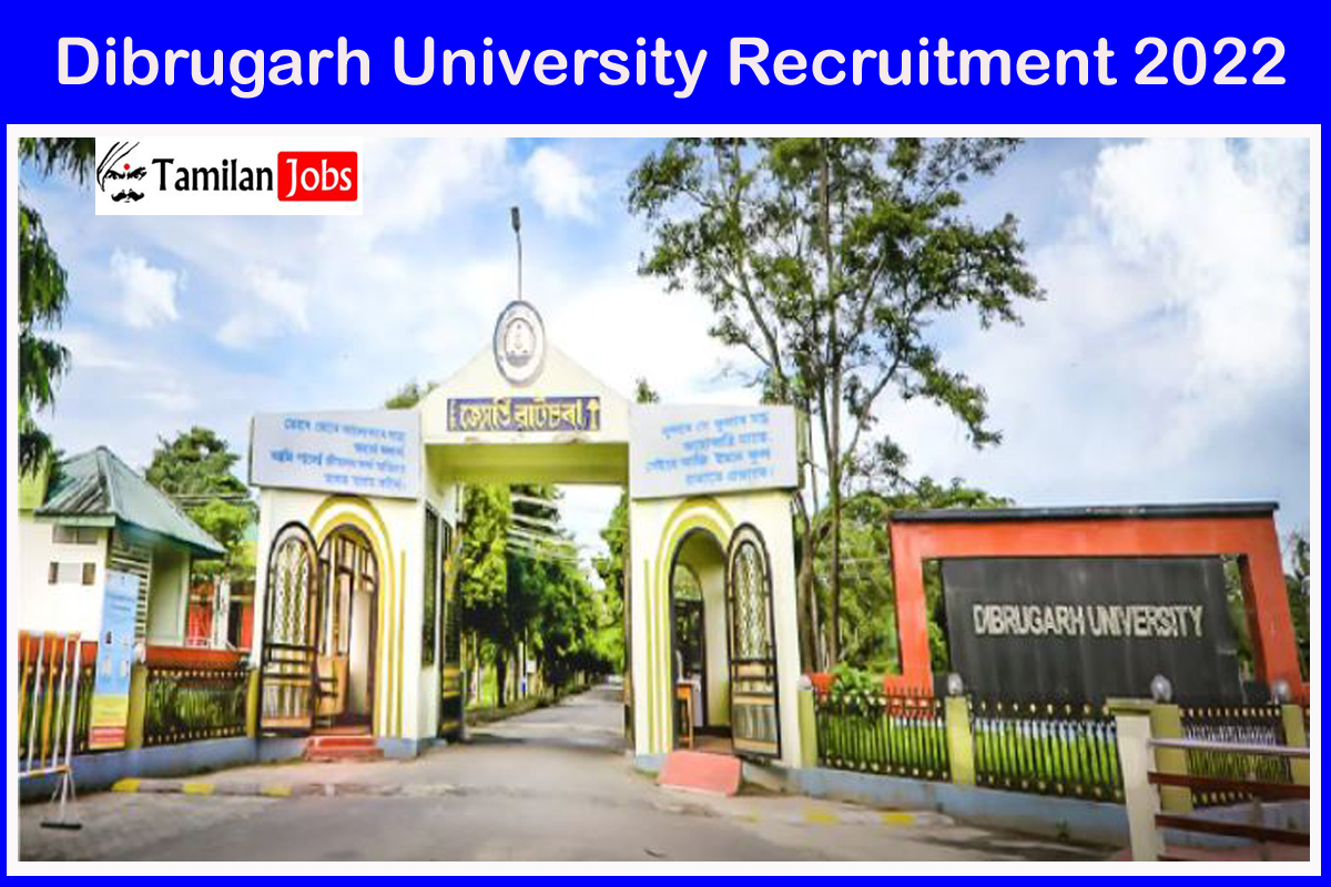 Dibrugarh University Recruitment 2022