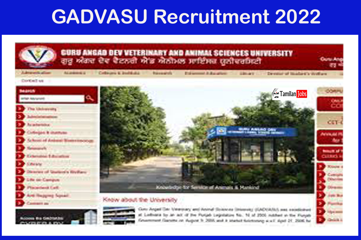 GADVASU Recruitment 2022