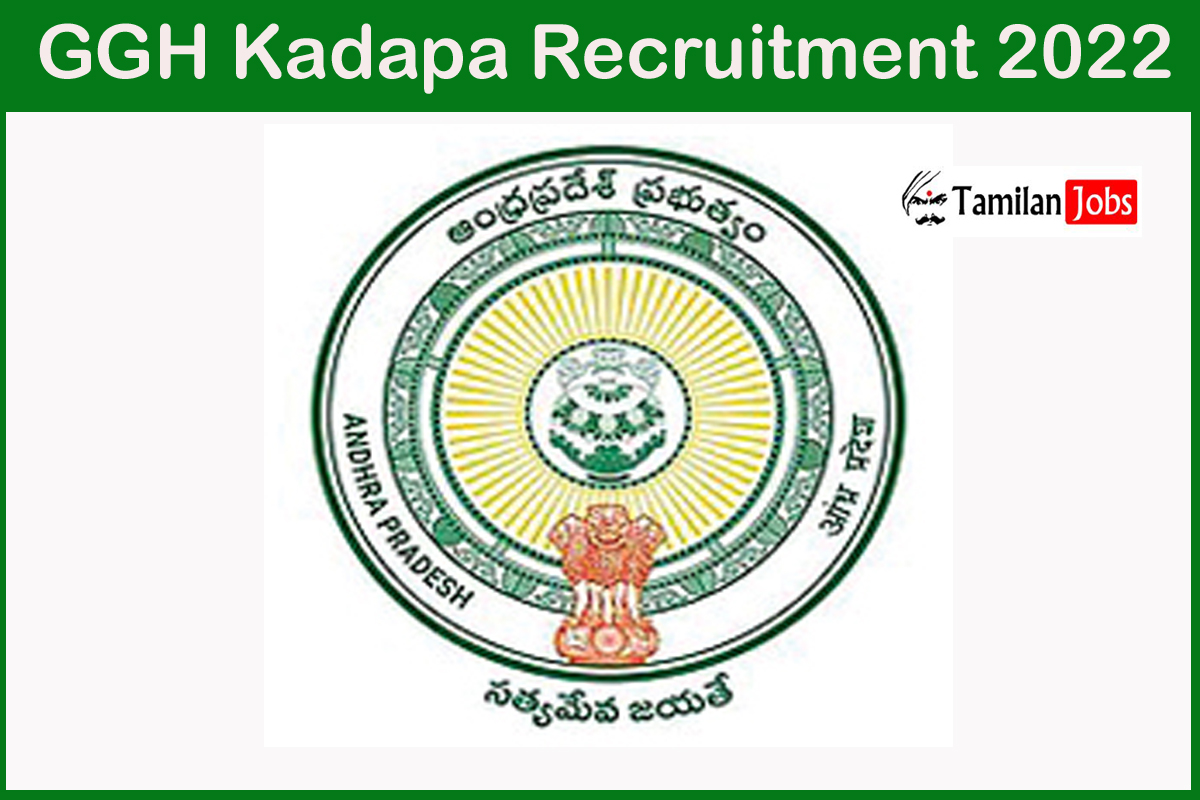 GGH Kadapa Recruitment 2022