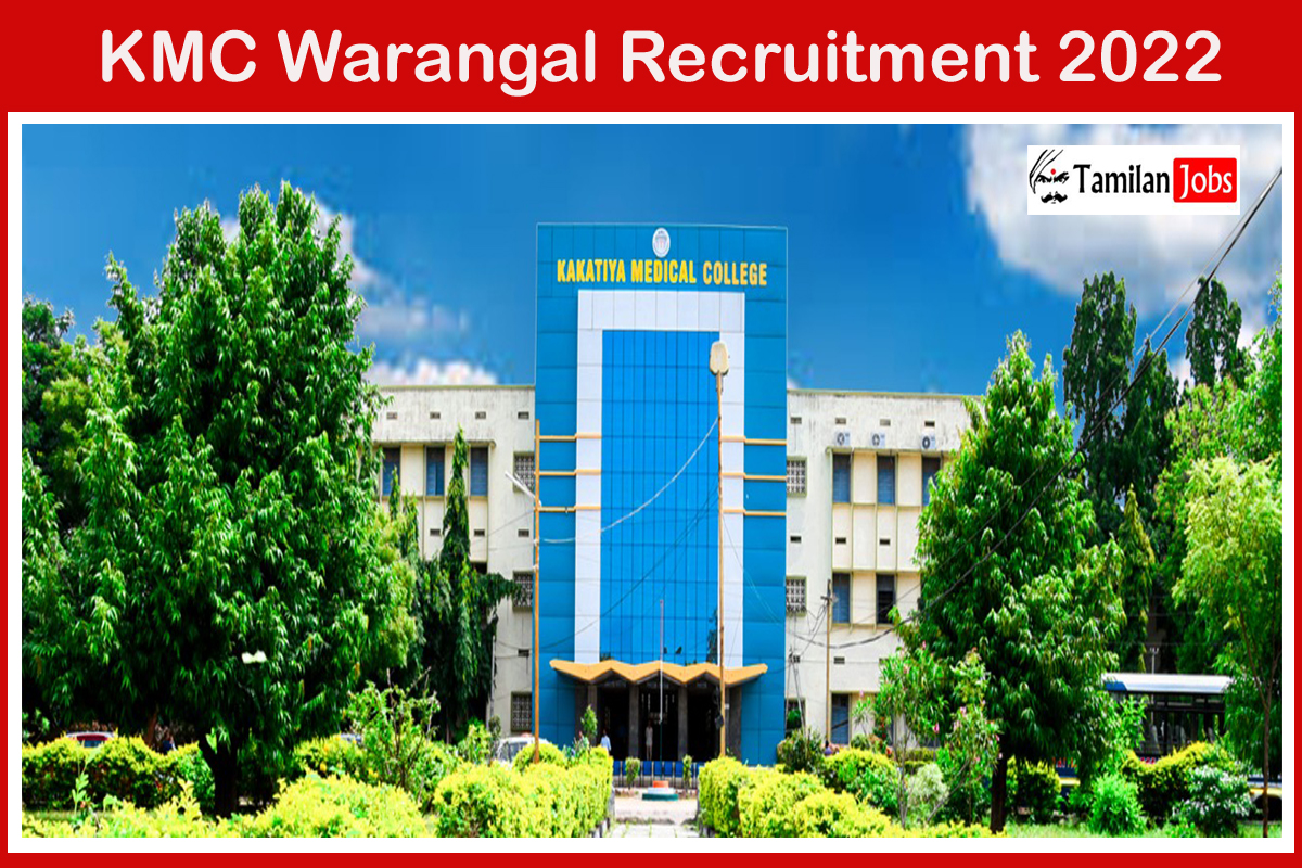 KMC Warangal Recruitment 2022
