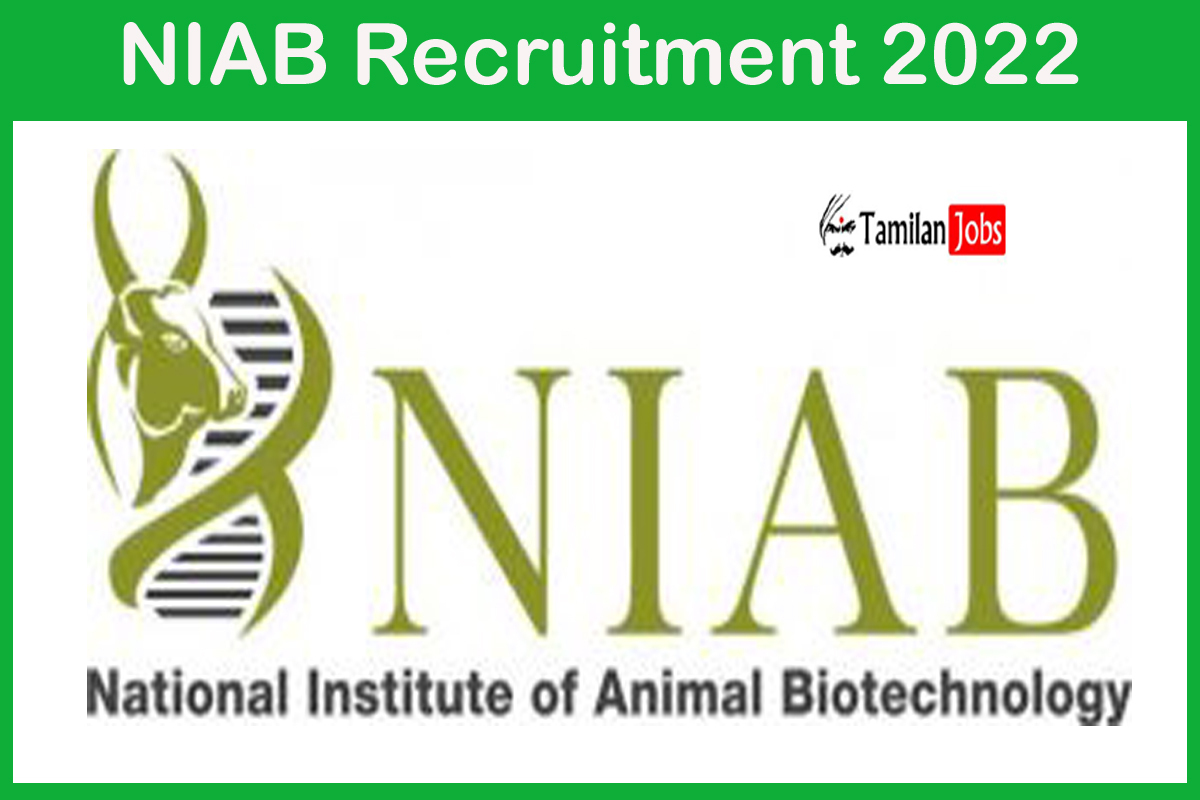 NIAB Recruitment 2022