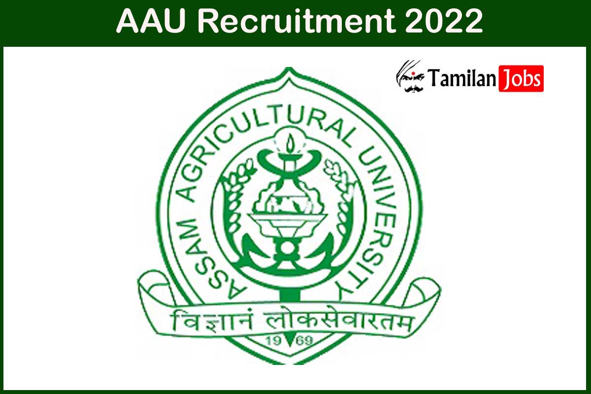 AAU Recruitment 2022