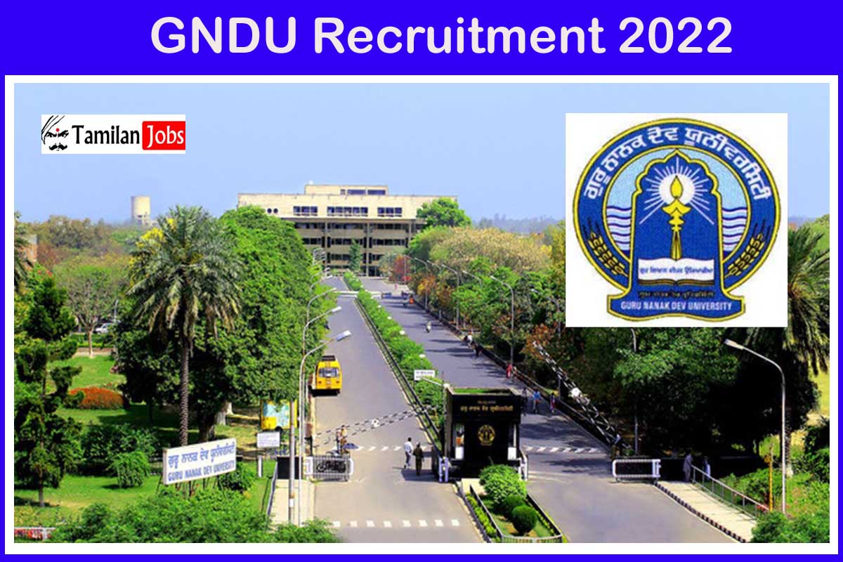 GNDU Recruitment 2022