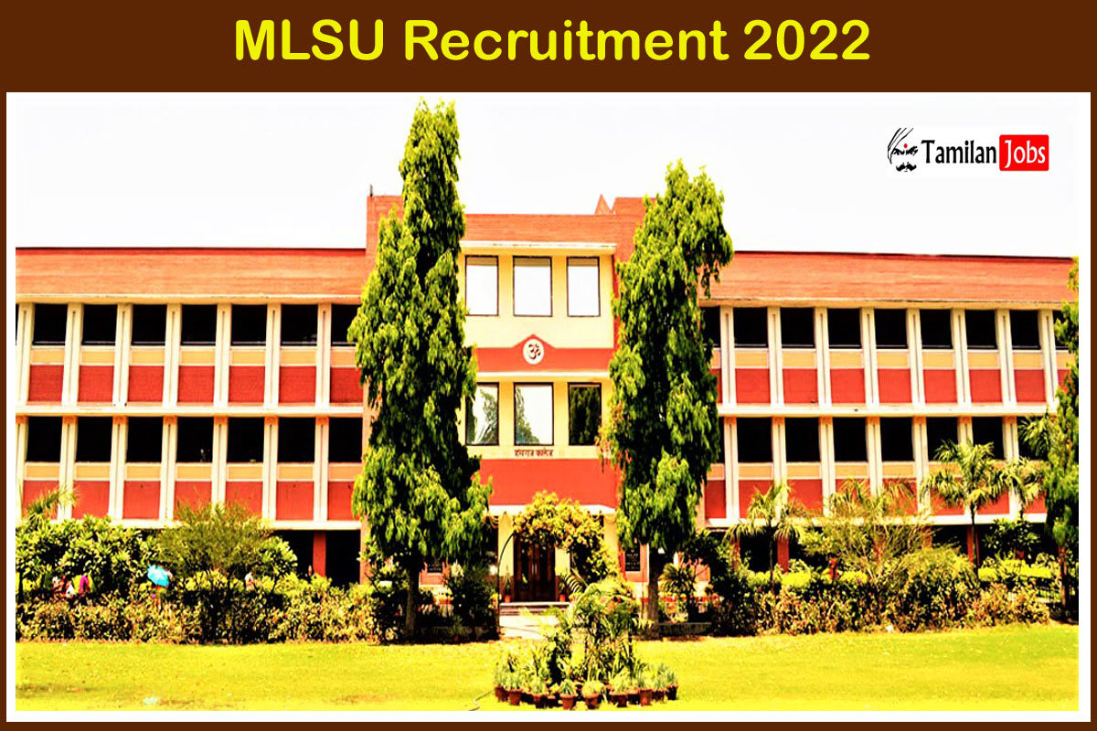 MLSU Recruitment 2022