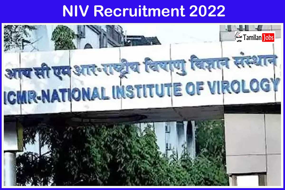 Niv Recruitment 2022