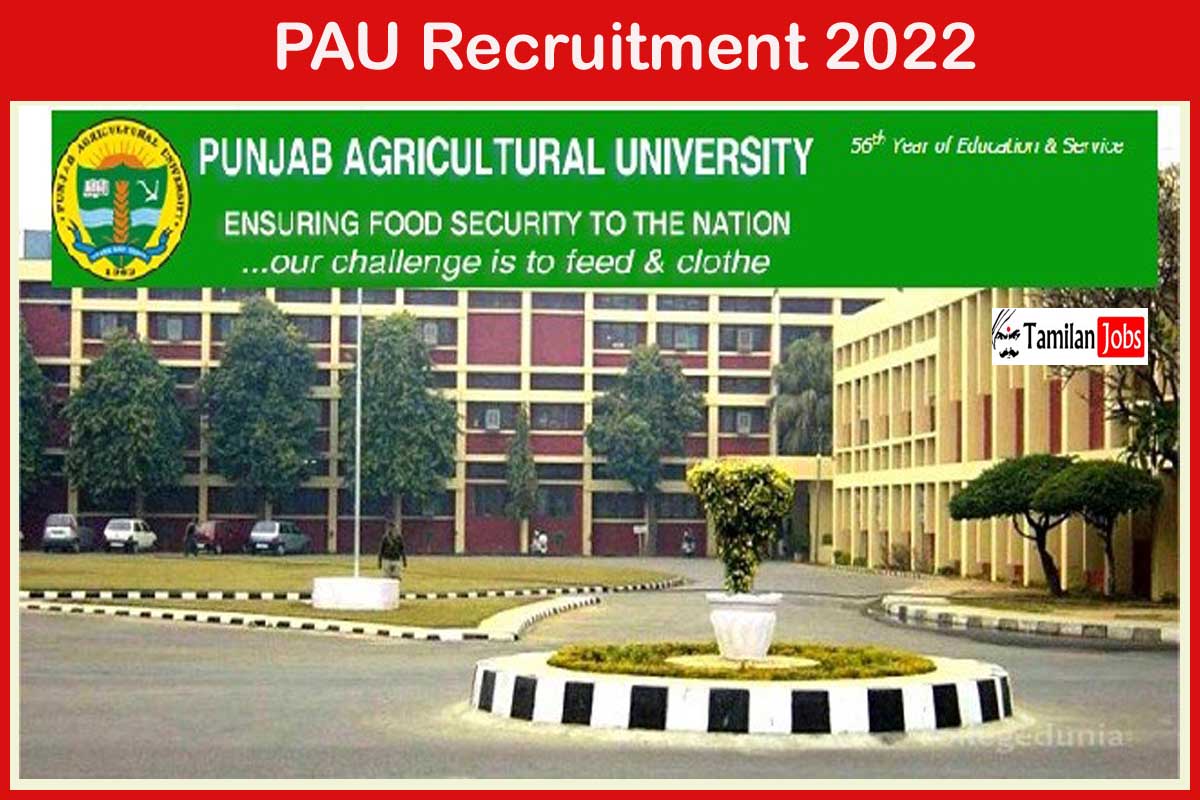 PAU Recruitment 2022