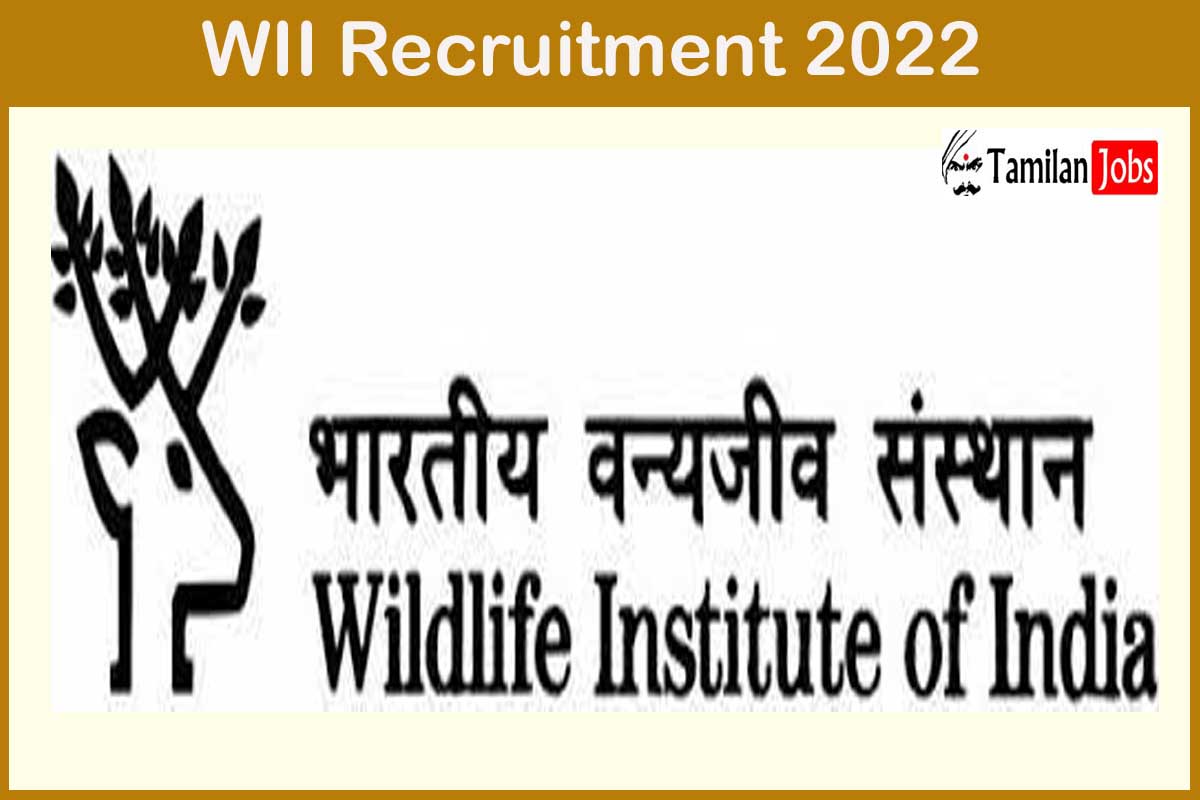 WII Recruitment 2022