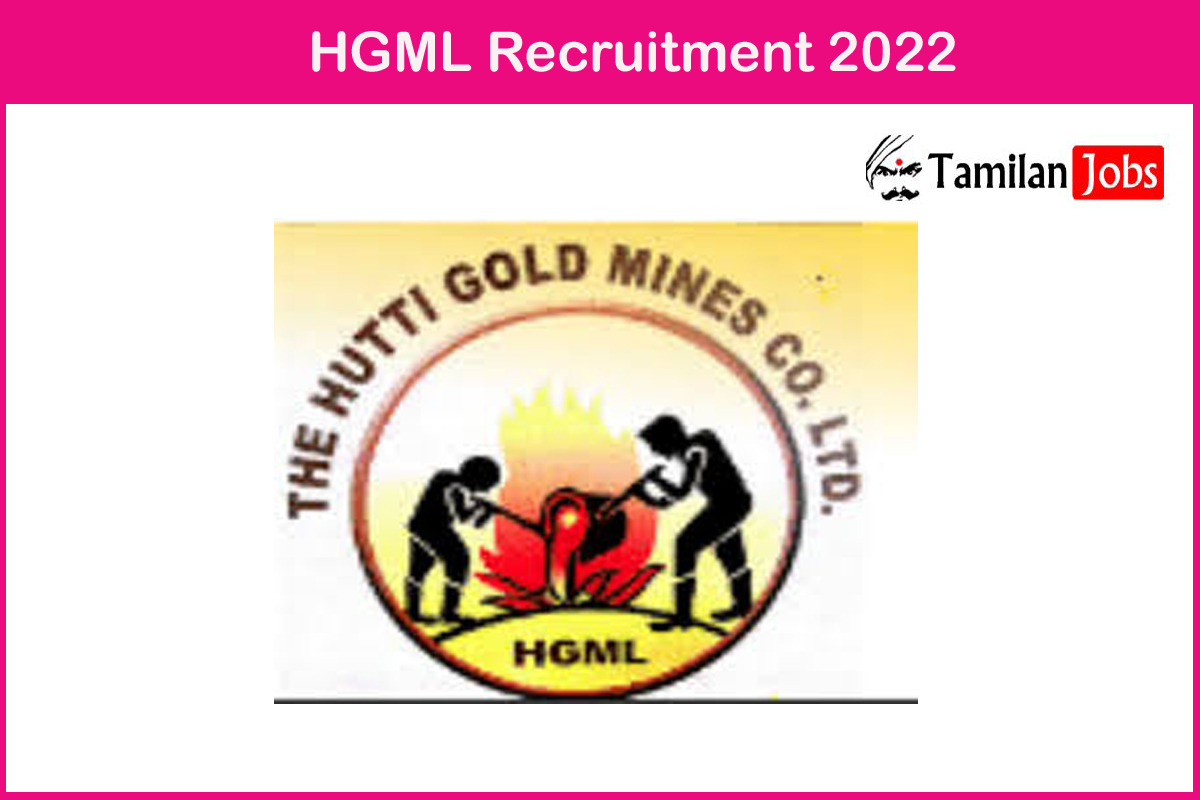 HGML Recruitment 2022