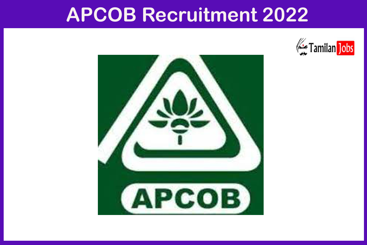 APCOB Recruitment 2022