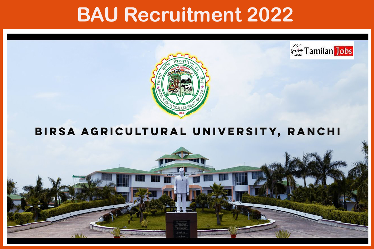 BAU Recruitment 2022