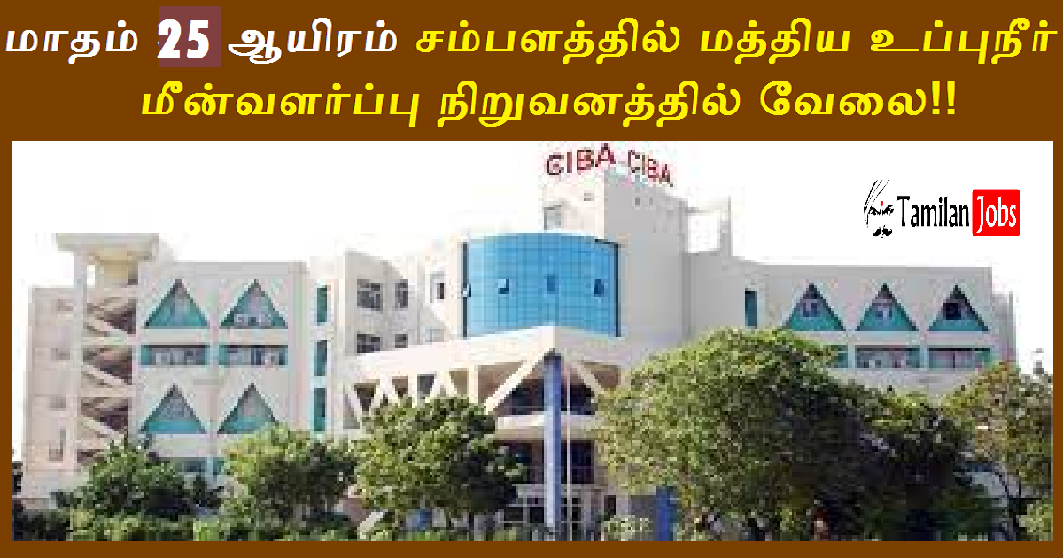 CIBA Chennai Recruitment 2022