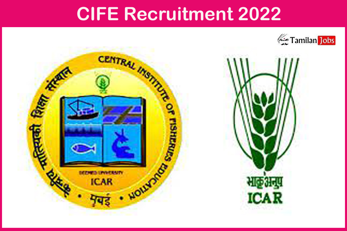 CIFE Recruitment 2022