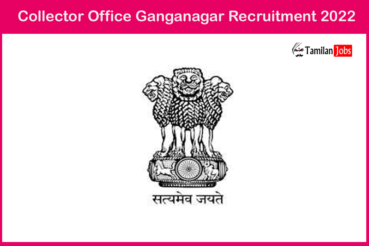 Collector Office Ganganagar Recruitment 2022