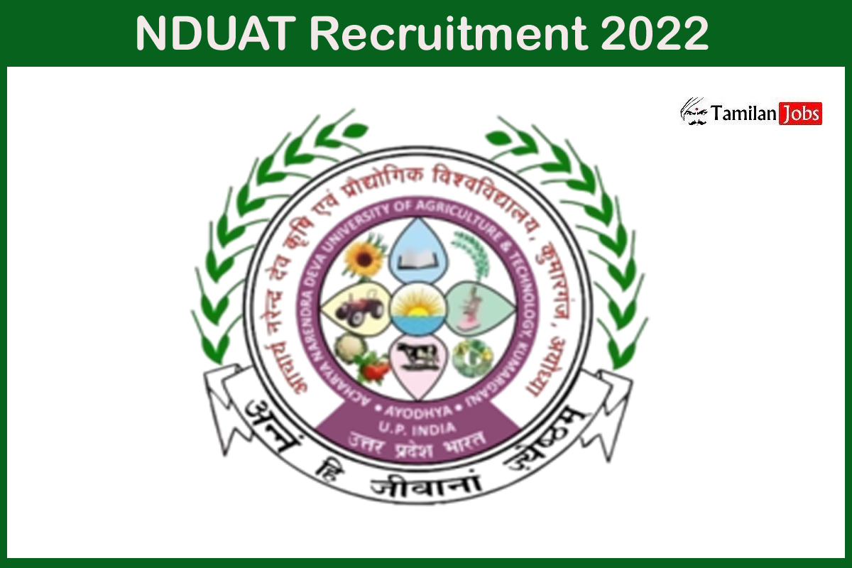 NDUAT Recruitment 2022