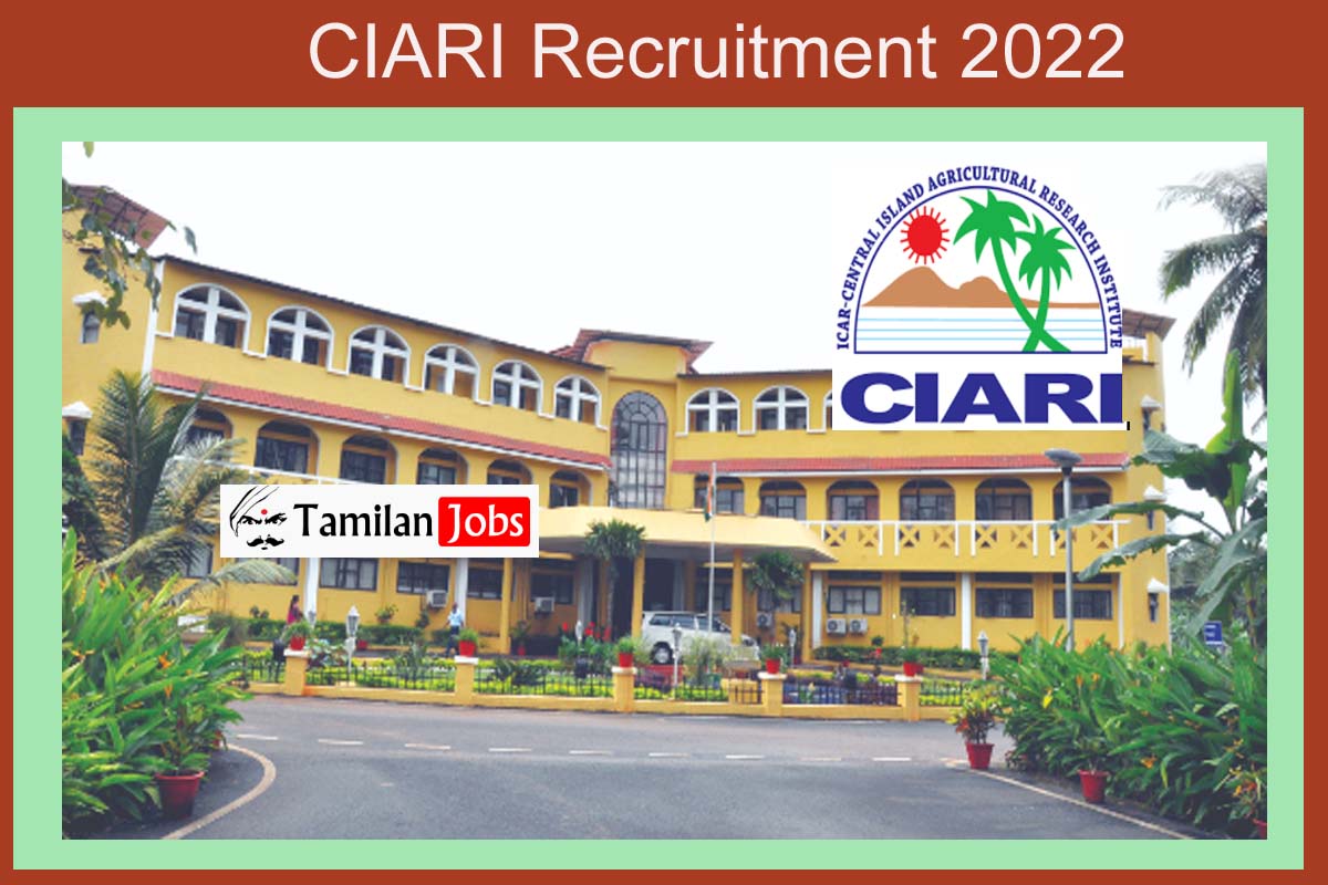 Ciari Recruitment 2022