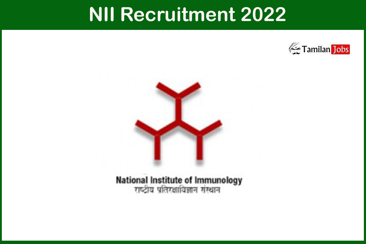 NII Recruitment 2022
