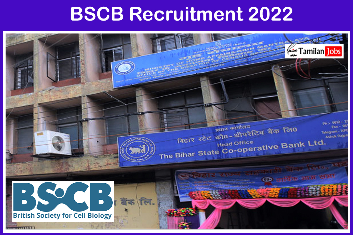 Bscb Recruitment 2022