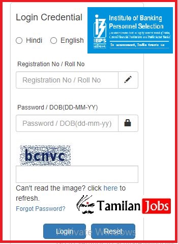 IBPS Clerk Admit Card 2022