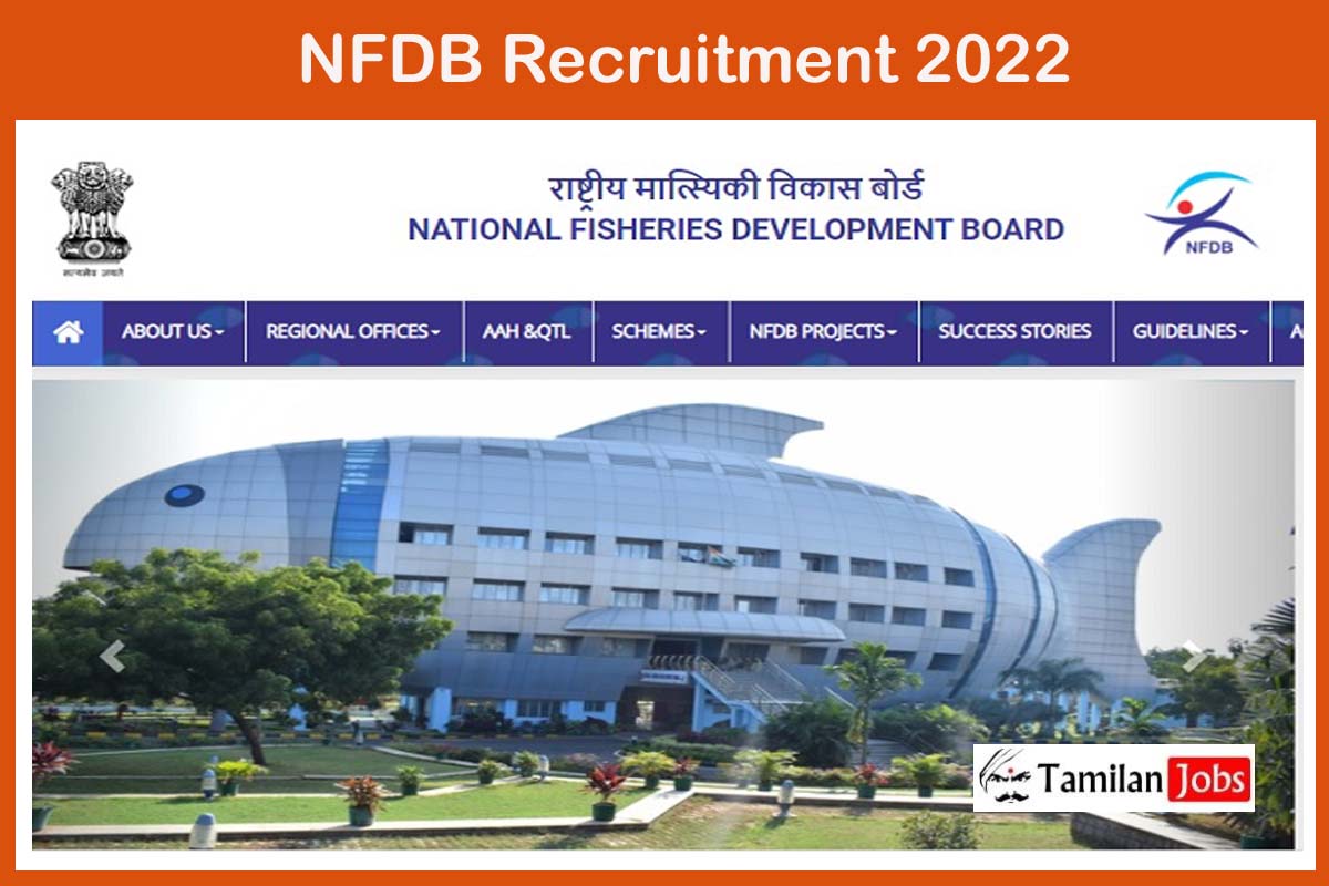 Nfdb Recruitment 2022