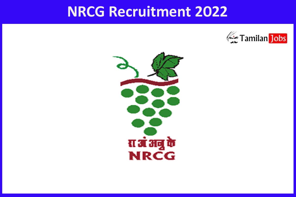 NRCG Recruitment 2022