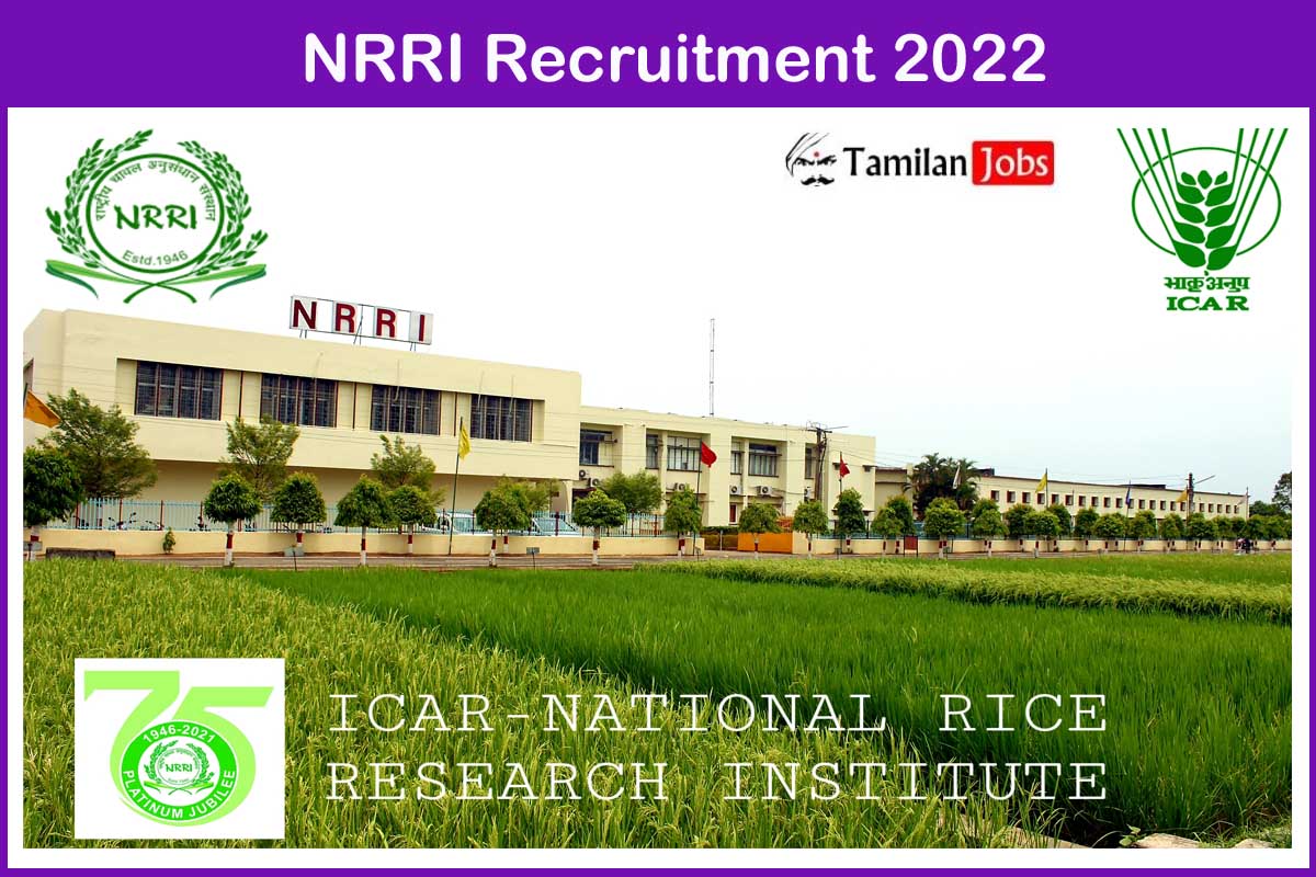 NRRI Recruitment 2022 