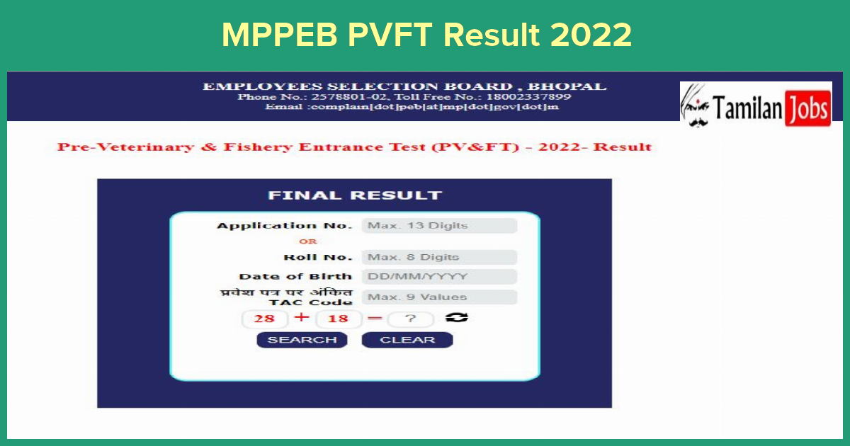 MPPEB PVFT Result 2022