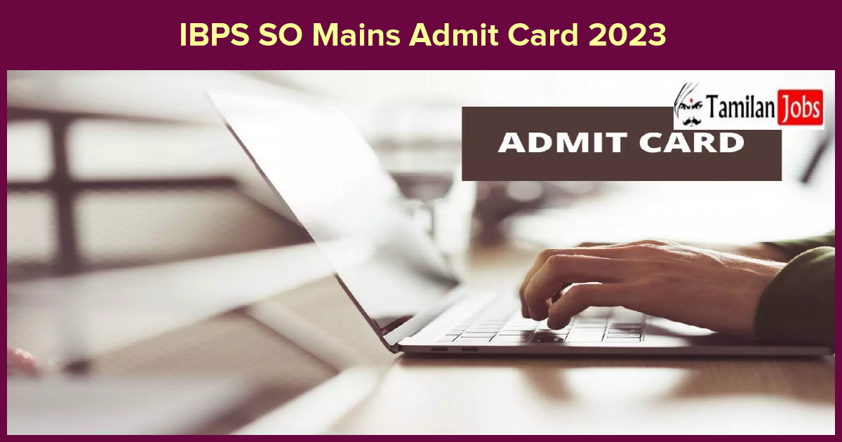 IBPS SO Mains Admit Card 2023 - Tamilan Jobs IBPS SO Mains Admit Card 2023
