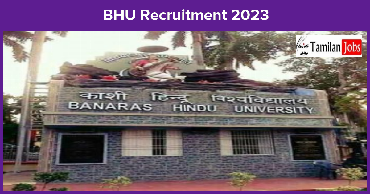 Bhu Recruitment 2023