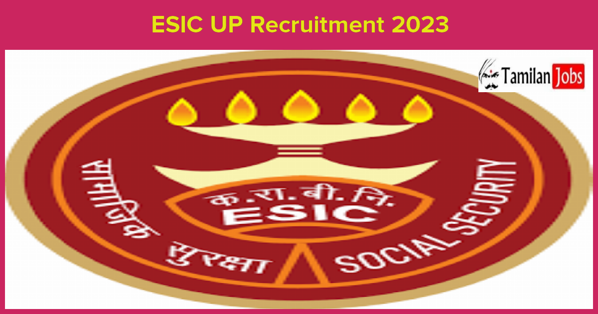 Esic Up Recruitment 2023