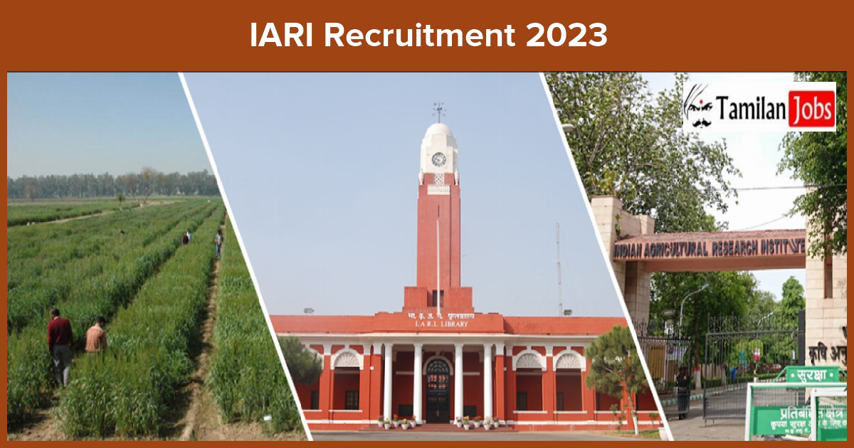 Iari Recruitment 2023