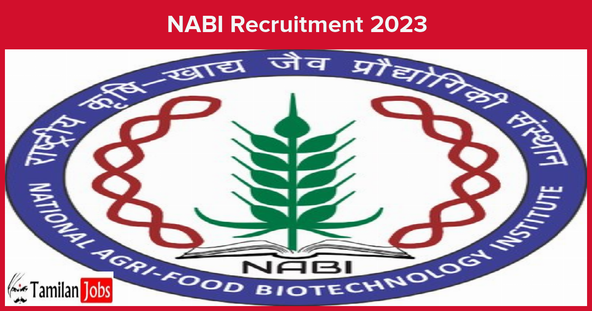 Nabi Recruitment 2023