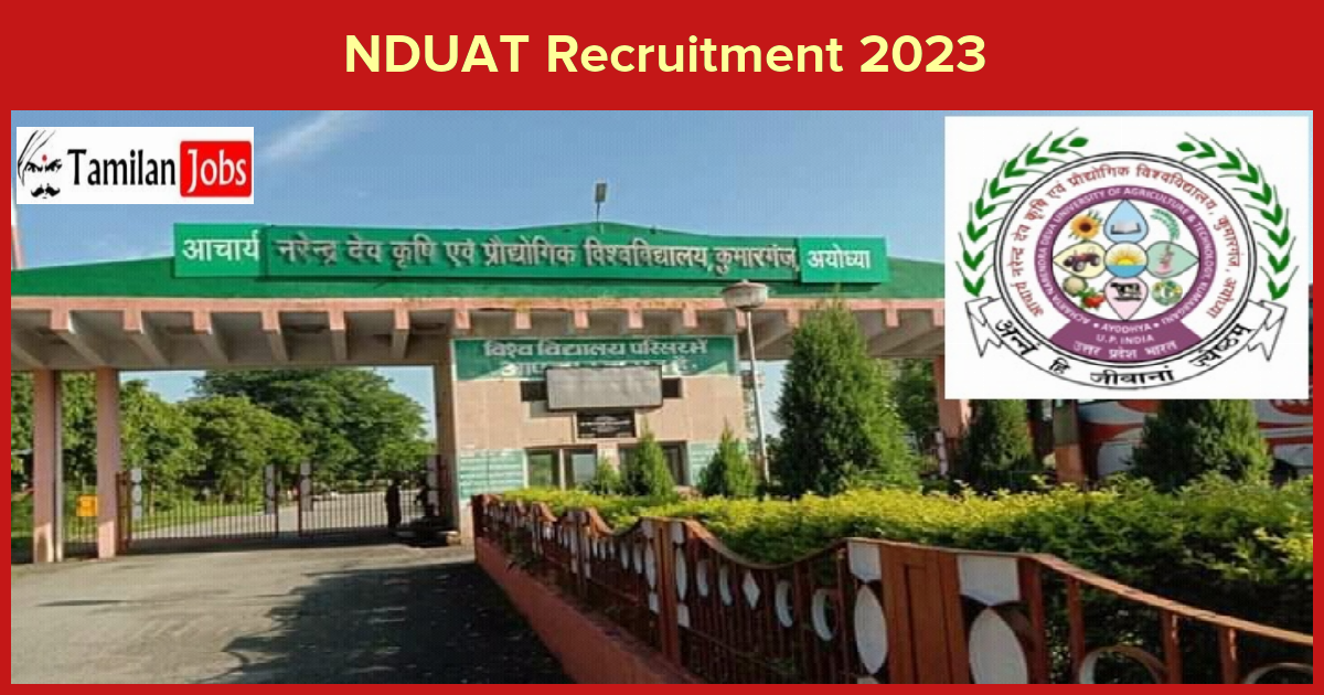 NDUAT Recruitment 2023